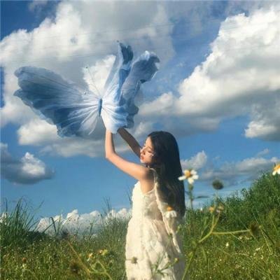 诉讼女王
